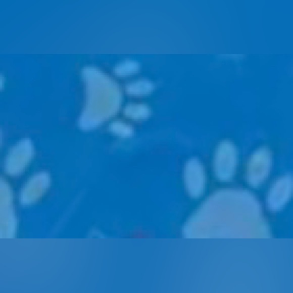 “Bone Dog Poo Dispenser” Disposable Pet Puppy Paw Print Poop Waste Sack Bag Roll - Picture 7 of 15